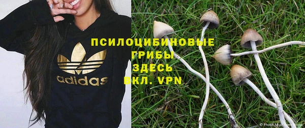 стафф Надым