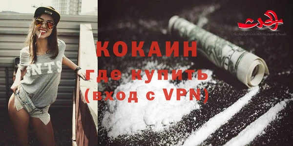 прущие грибы Наволоки