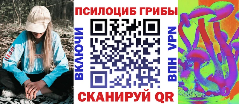 где купить   Щёкино  Галлюциногенные грибы мухоморы 